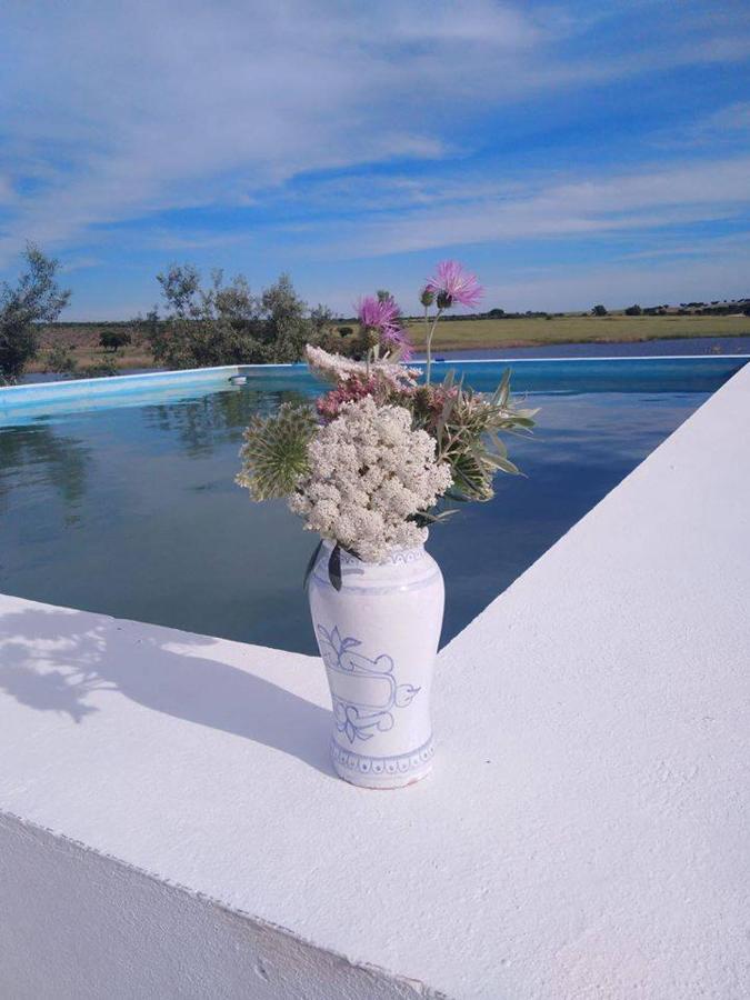 Monte Da Figueira Villa Amareleja Ngoại thất bức ảnh