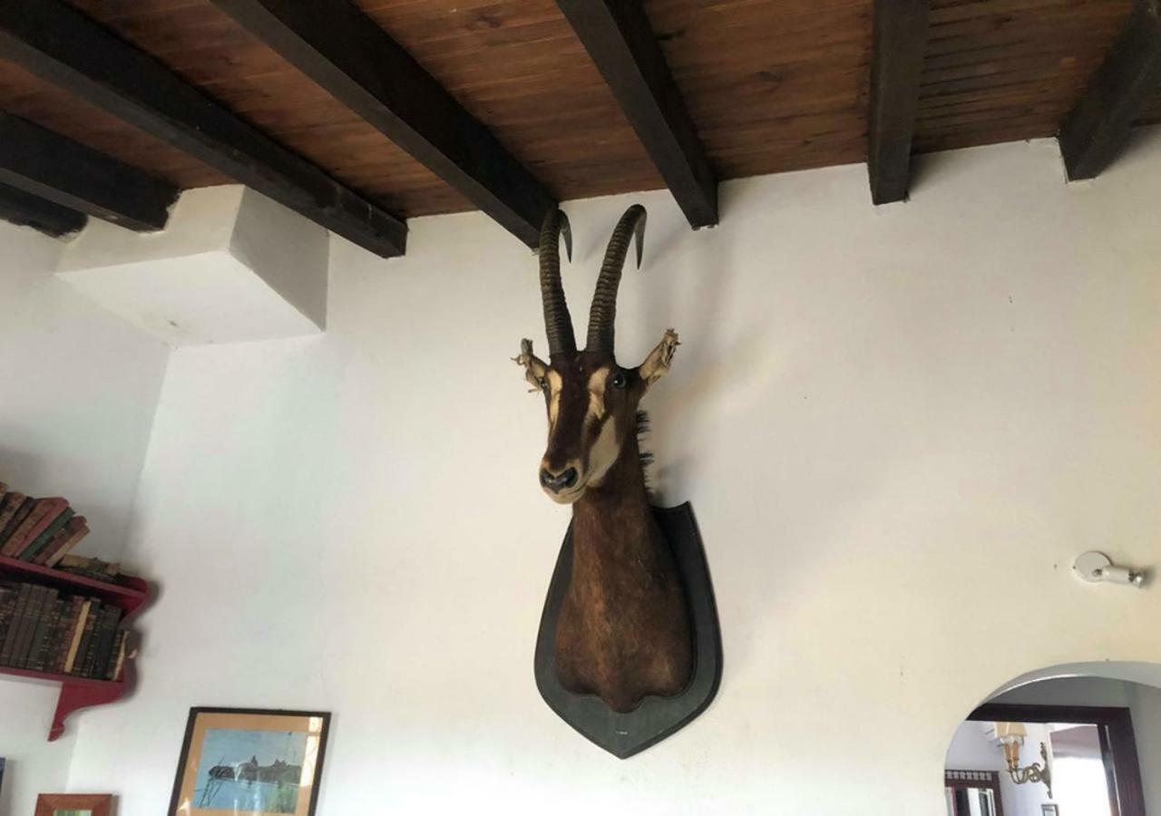 Monte Da Figueira Villa Amareleja Ngoại thất bức ảnh